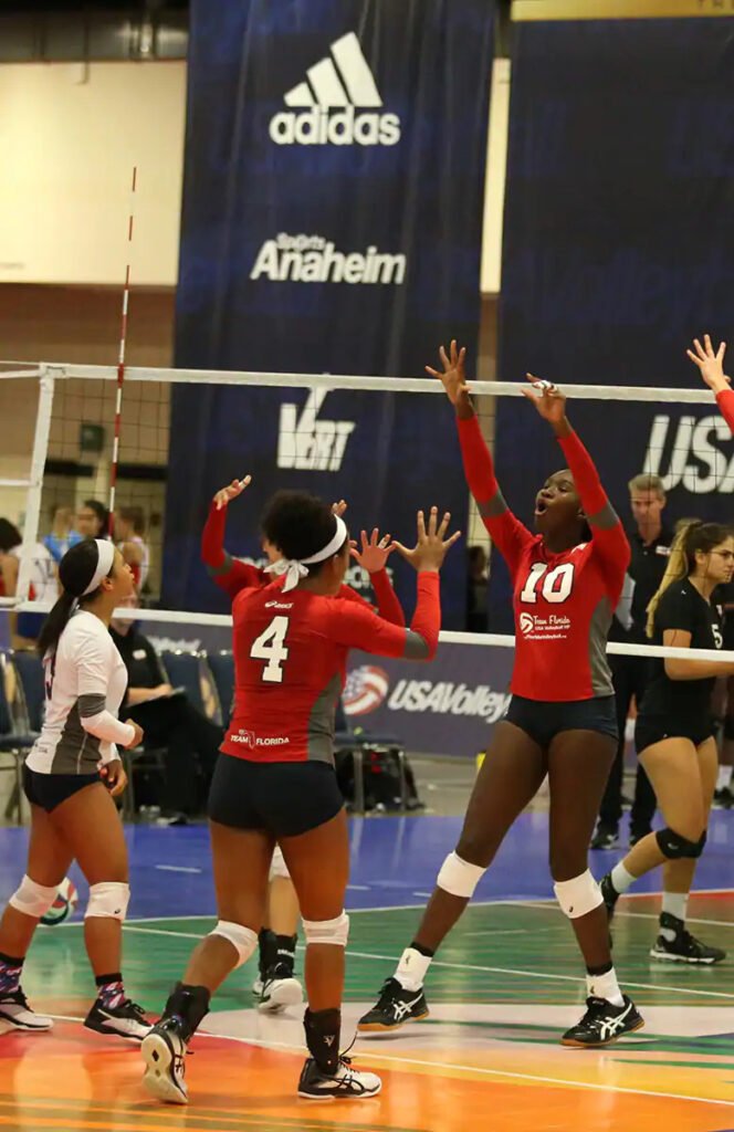 DEI USA Volleyball